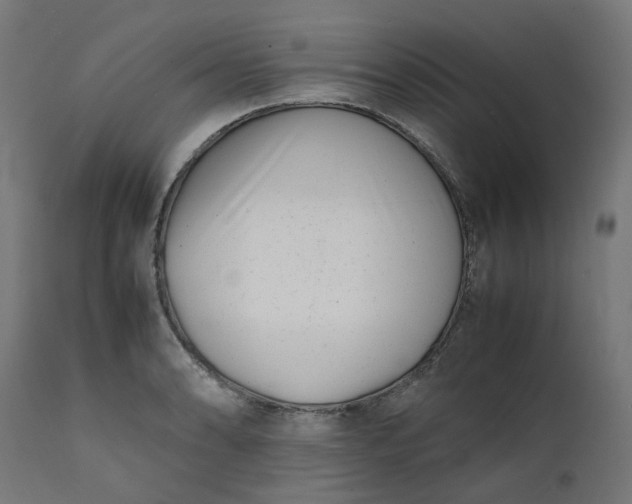 X0000111501086200907281245