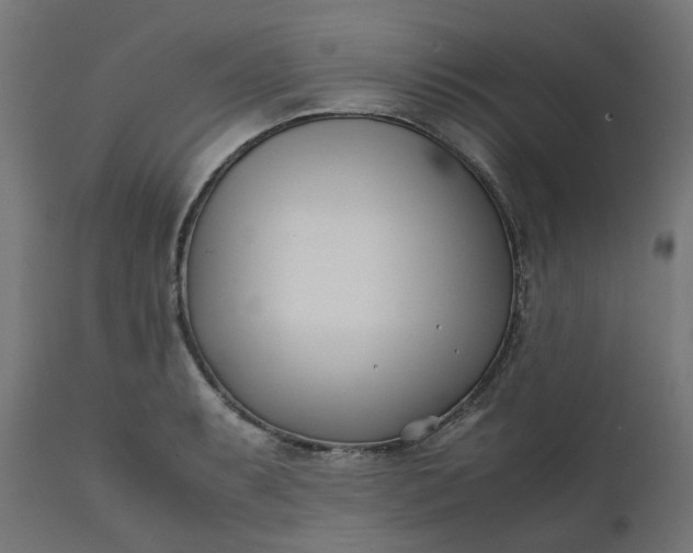 X0000111501087200907281245