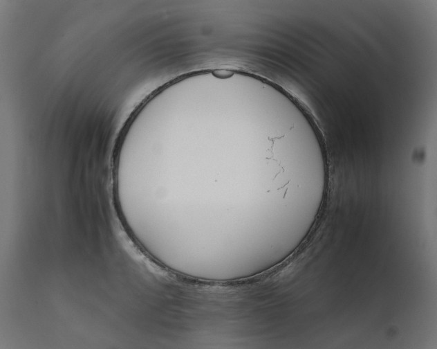 X0000111501088200907281245