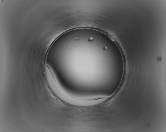 X0000111501089200907281245