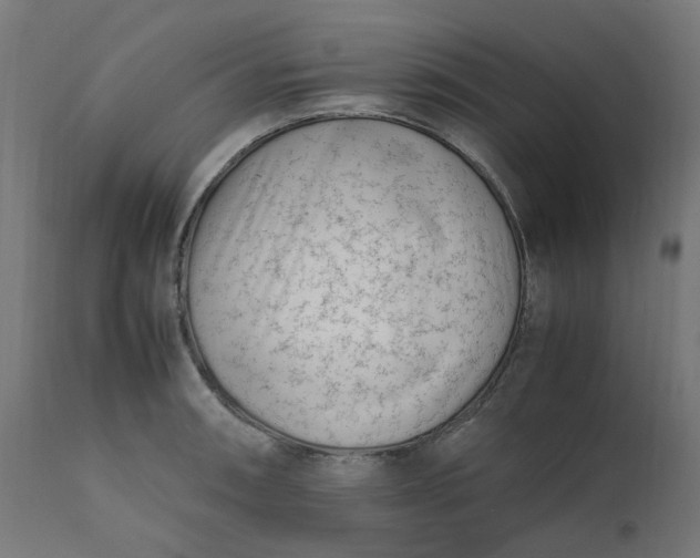 X0000111501090200907281245