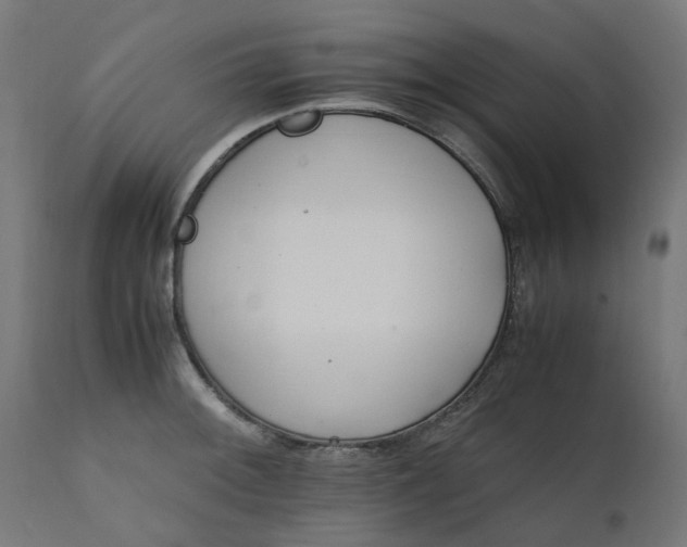 X0000111501092200907281245