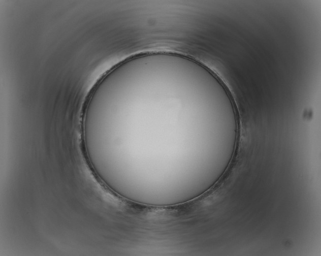 X0000111501093200907281245