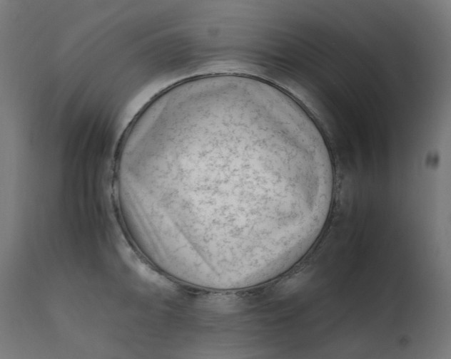 X0000111501094200907281245