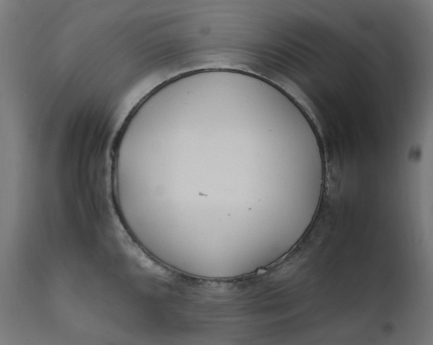 X0000111501096200907281245