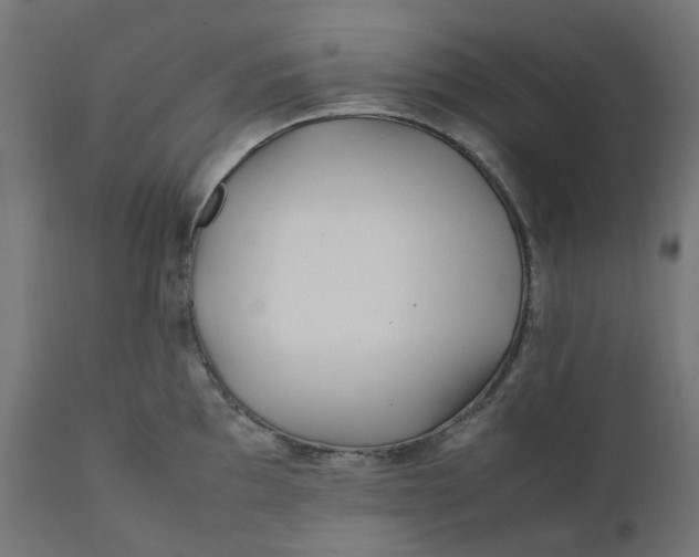 X0000111501097200907281245