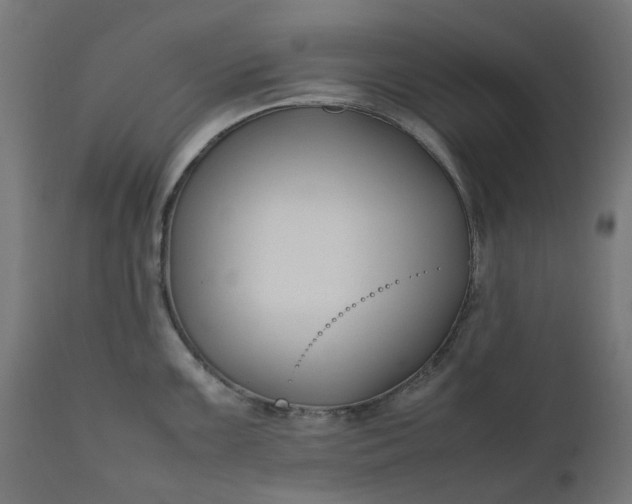 X0000111501099200907281245