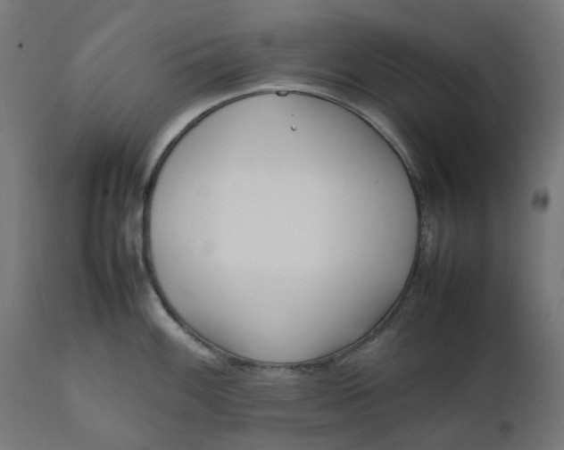 X0000111501100200907281245