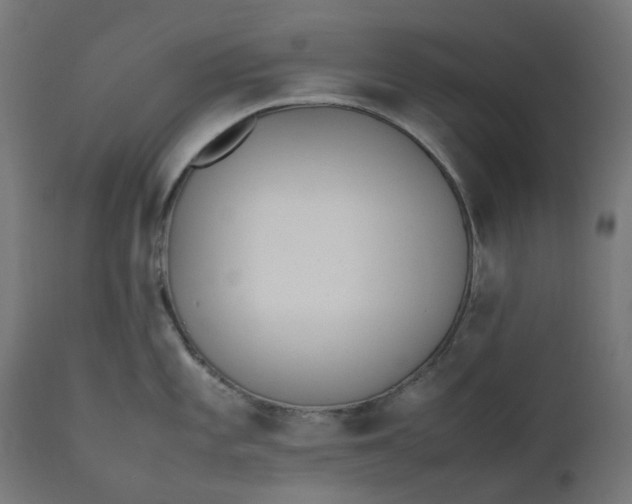 X0000111501101200907281245