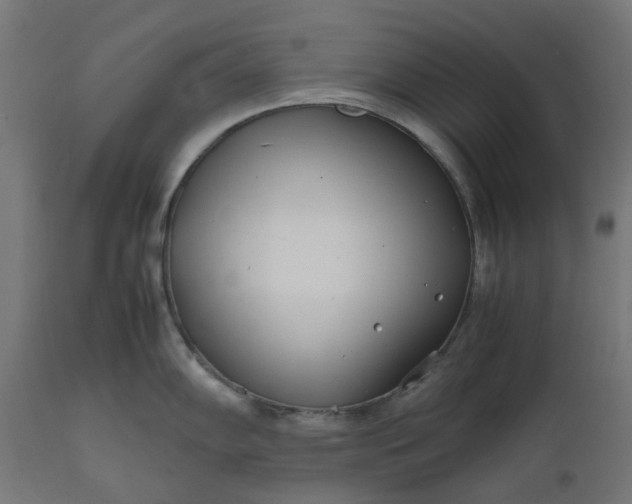 X0000111501102200907281245