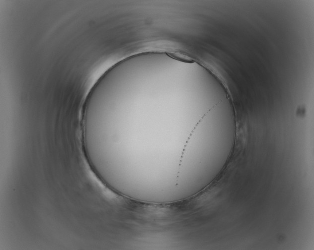 X0000111501103200907281245