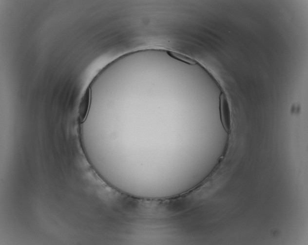 X0000111501104200907281245