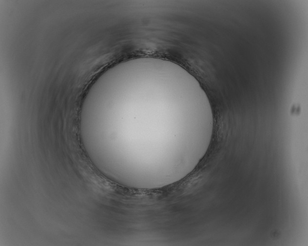 X0000111501105200907281244