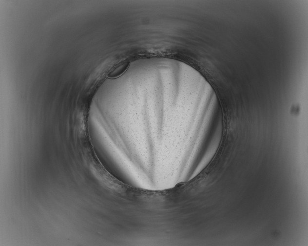 X0000111501106200907281244