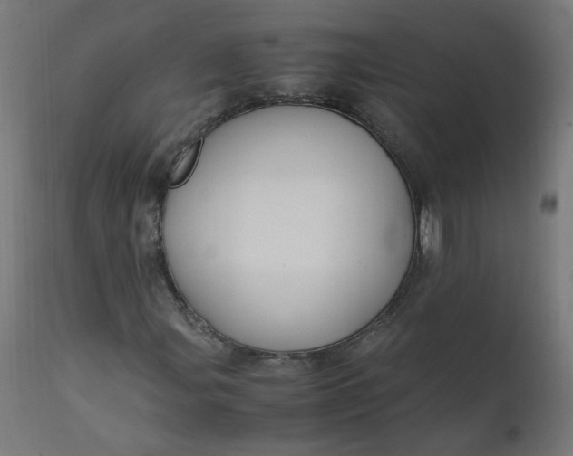 X0000111501107200907281244