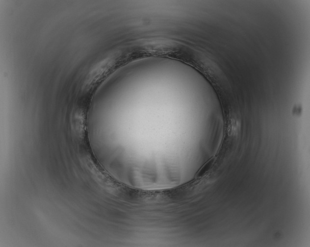 X0000111501108200907281244