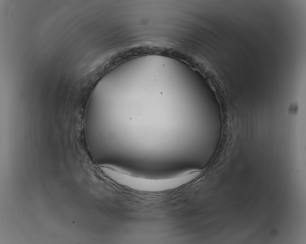 X0000111501110200907281244