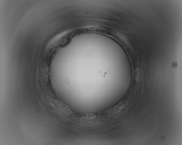 X0000111501111200907281244