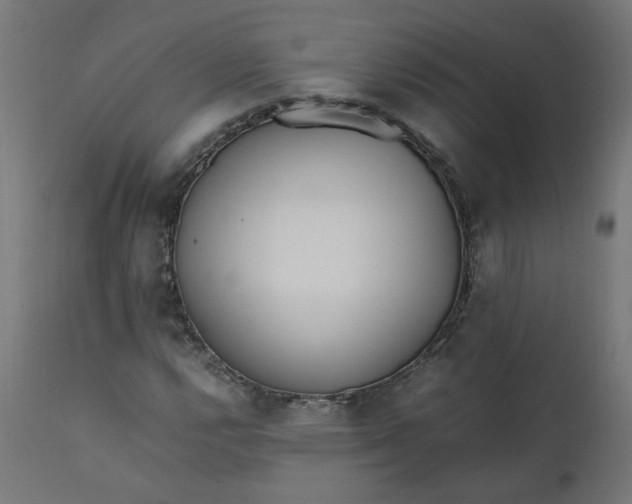 X0000111501112200907281244