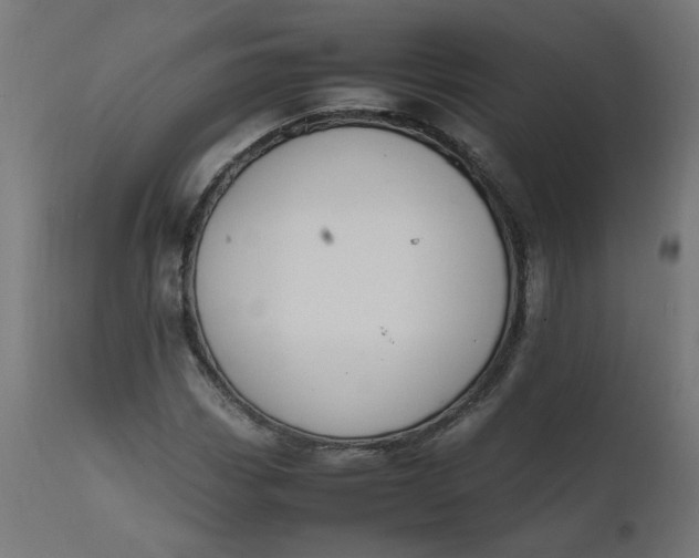 X0000111501113200907281244