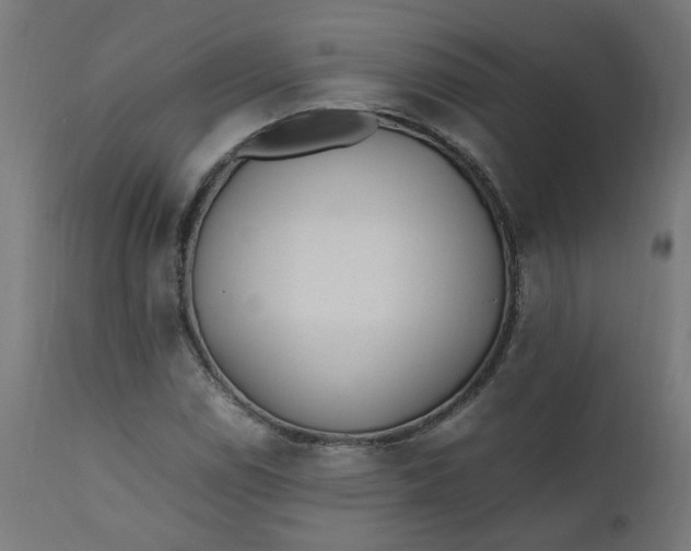 X0000111501114200907281244