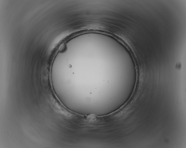 X0000111501115200907281245