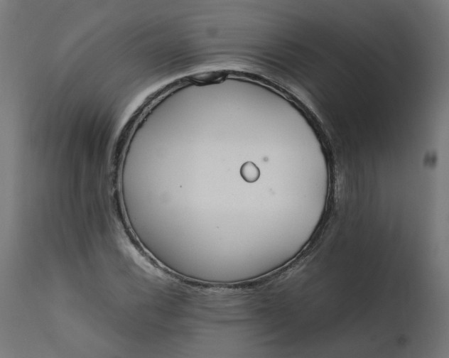 X0000111501116200907281245