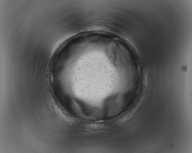 X0000111501117200907281245