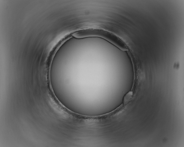 X0000111501118200907281245