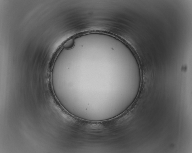 X0000111501119200907281245