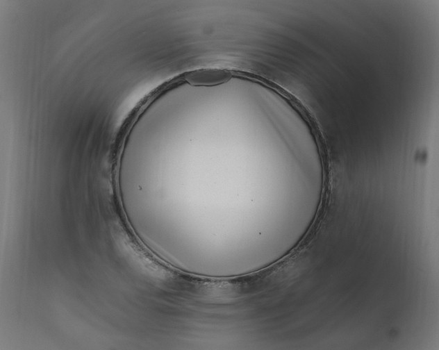 X0000111501120200907281245