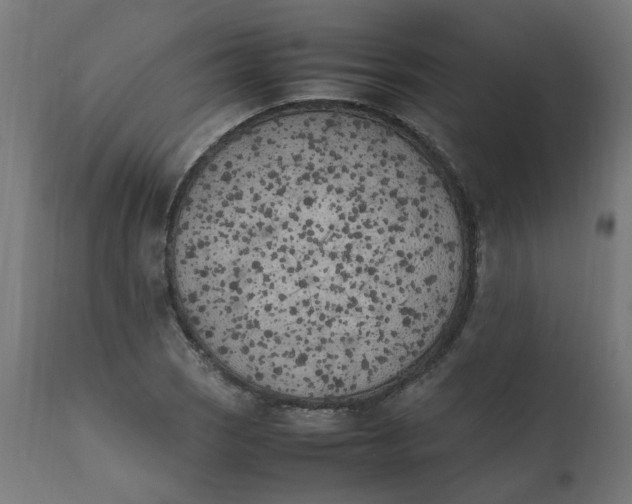 X0000111501121200907281245