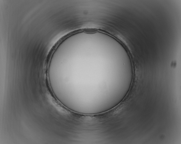 X0000111501124200907281245