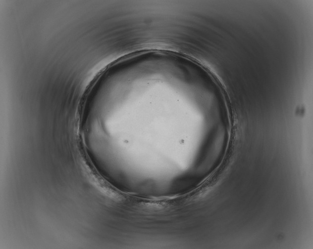 X0000111501125200907281245