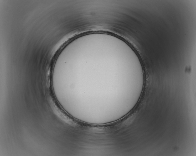 X0000111501126200907281245