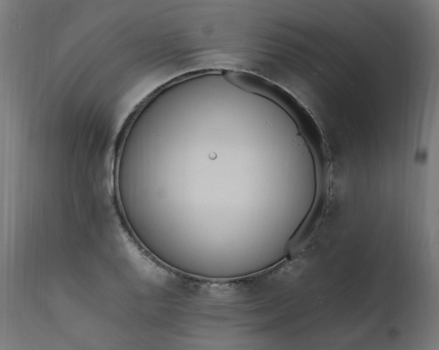 X0000111501128200907281245