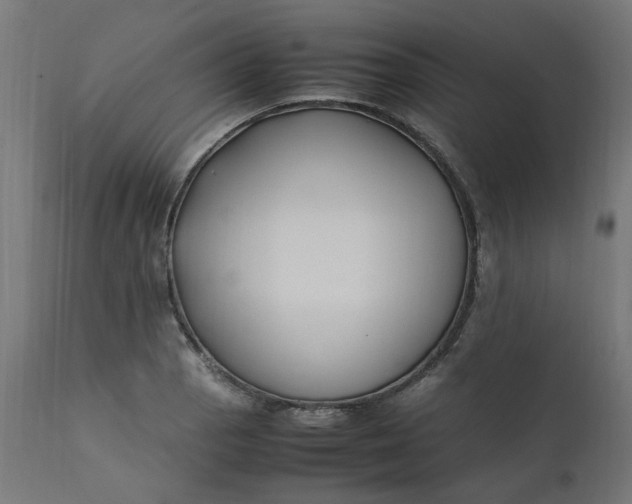 X0000111501129200907281245