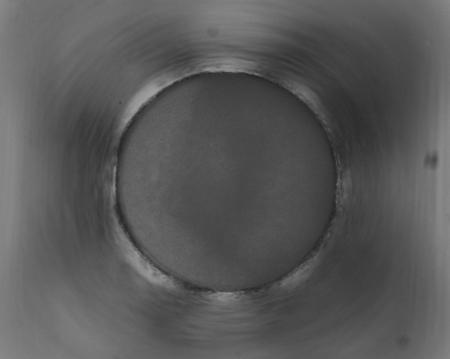 X0000111501130200907281245