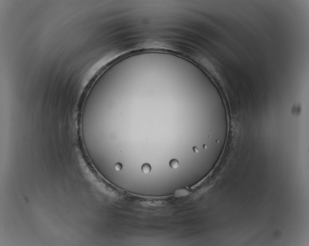 X0000111501133200907281245