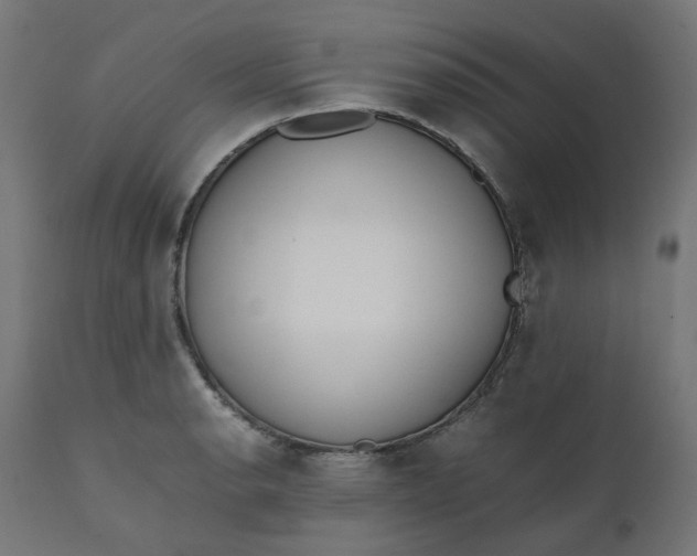 X0000111501134200907281245