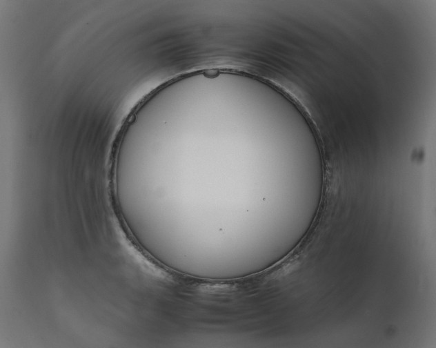 X0000111501135200907281245