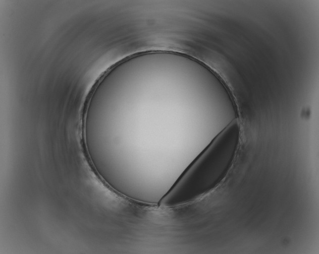 X0000111501136200907281245