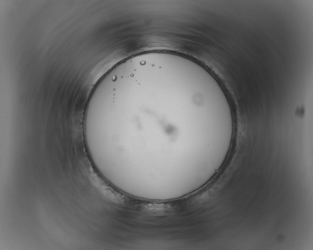 X0000111501137200907281245