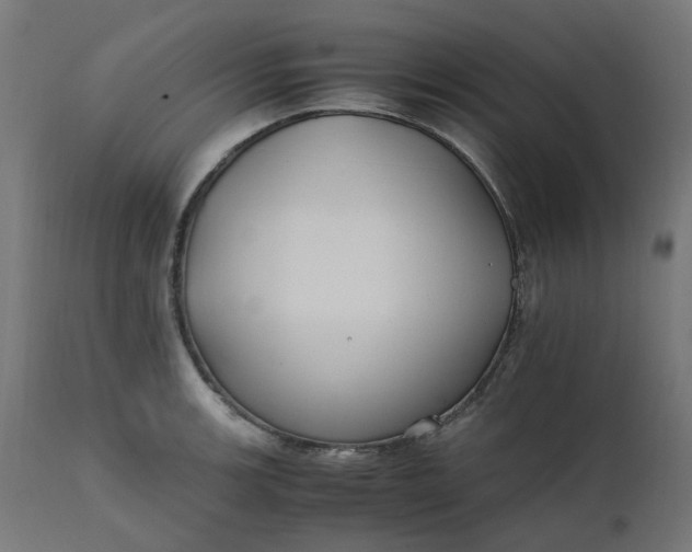 X0000111501139200907281245