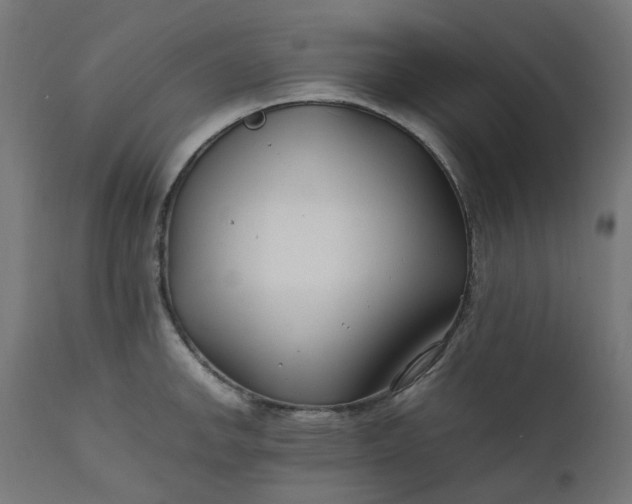 X0000111501142200907281245