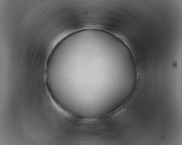 X0000111501143200907281245