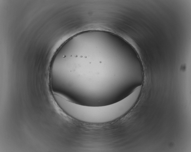 X0000111501144200907281245