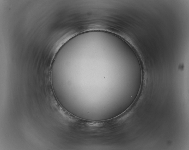 X0000111501145200907281245