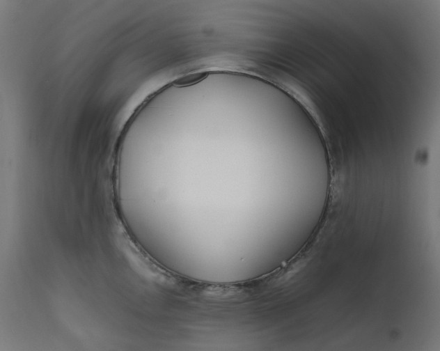 X0000111501146200907281245