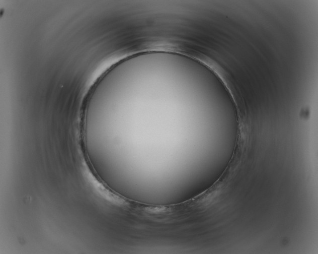 X0000111501147200907281245